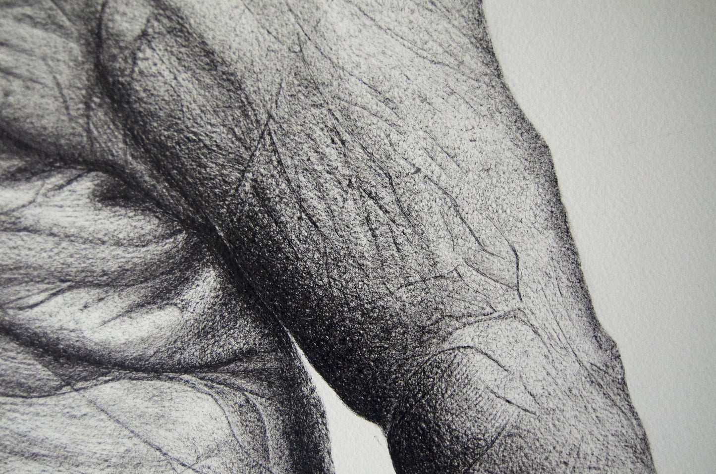 Untitled (Hand)