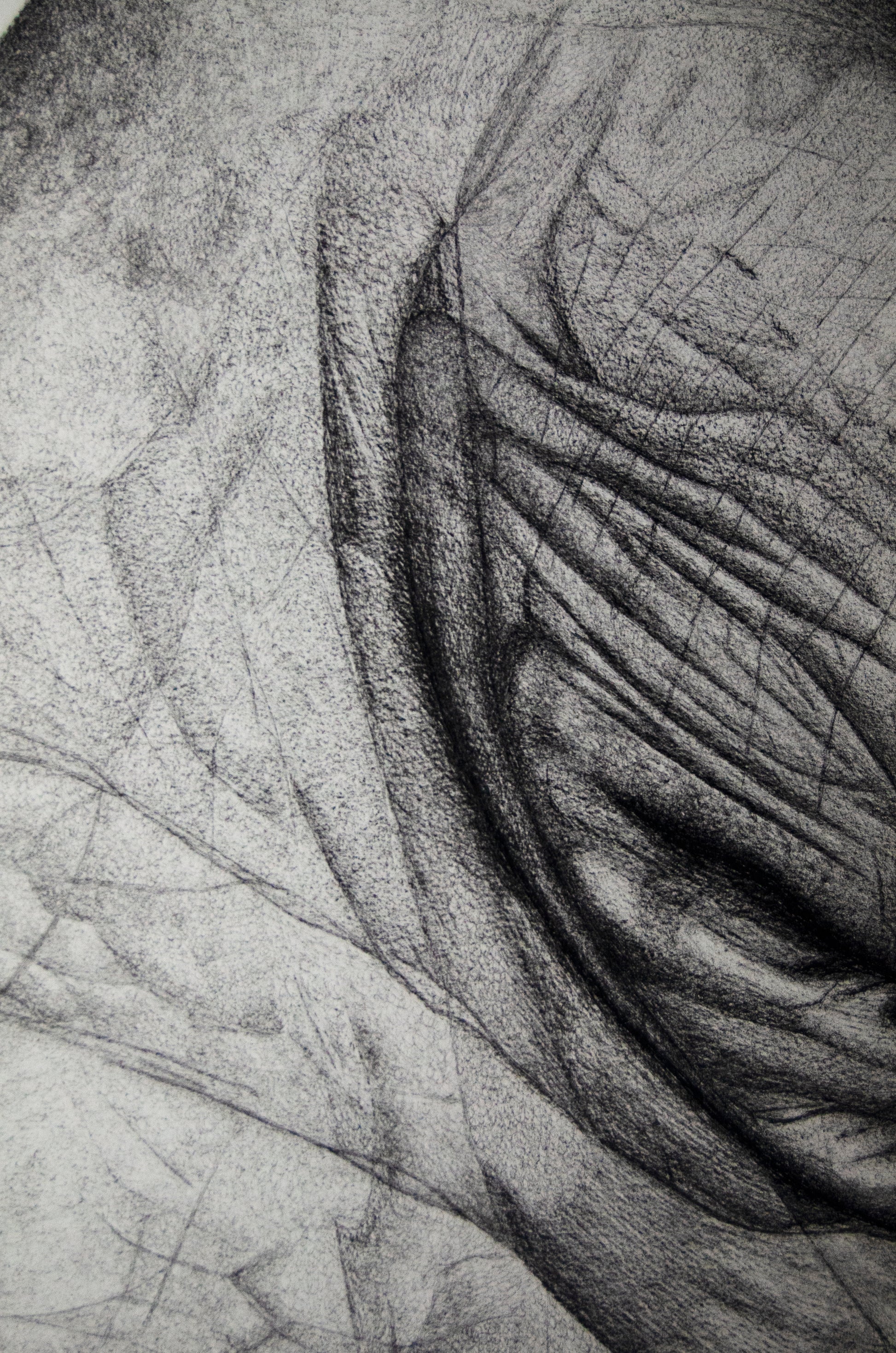 Hand - Calligraphartstudio