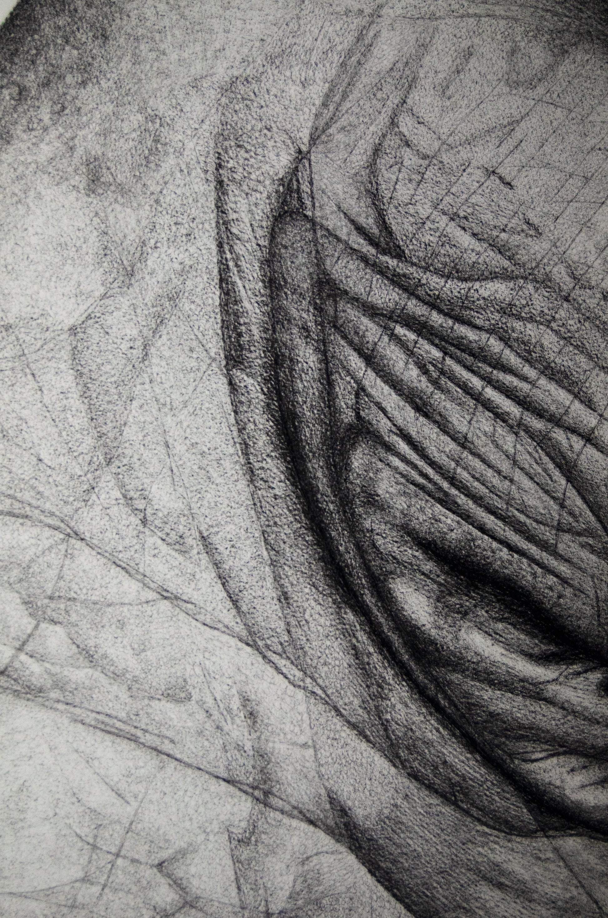 Charcoal & Graphite Archives - Creative Hands