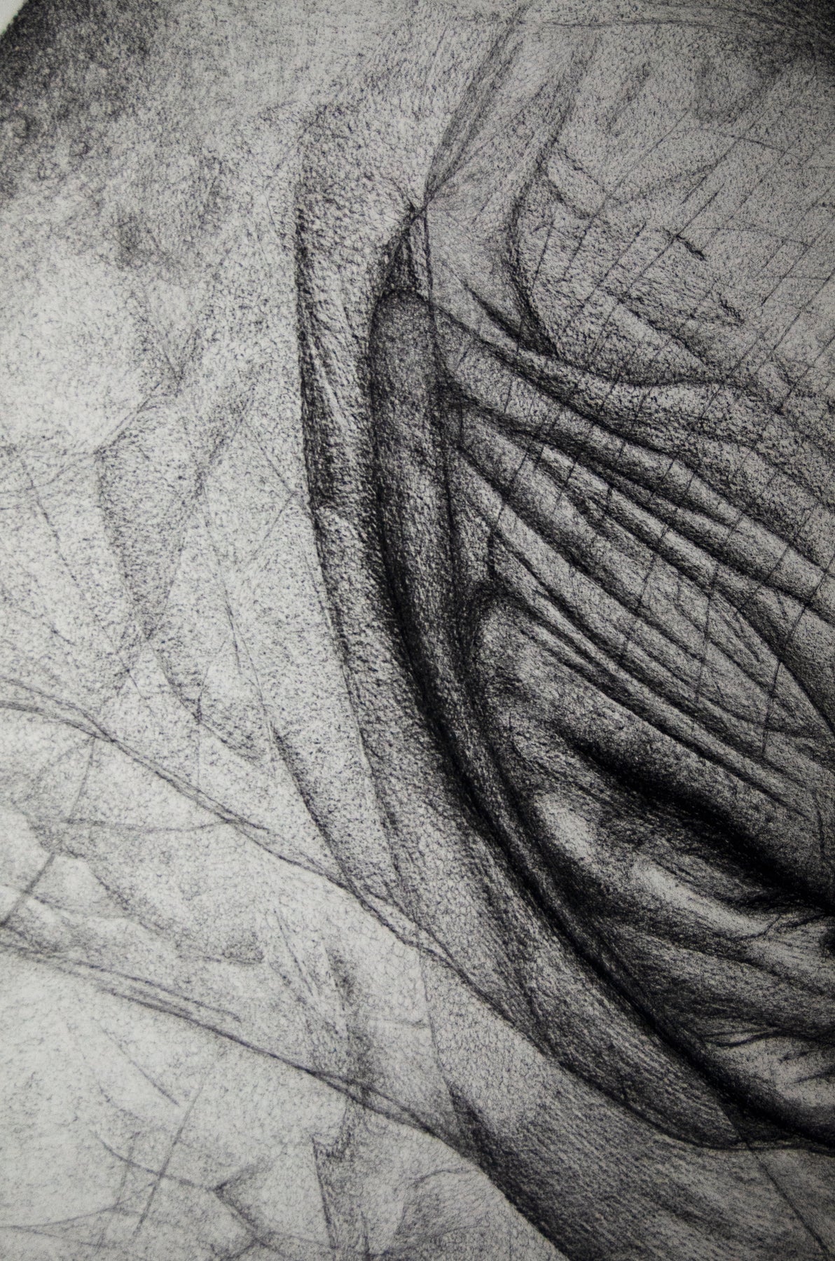 Untitled (Hands) (PRINT EDITION)