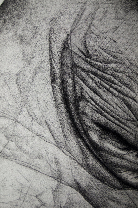 Untitled (Hands) (PRINT EDITION)