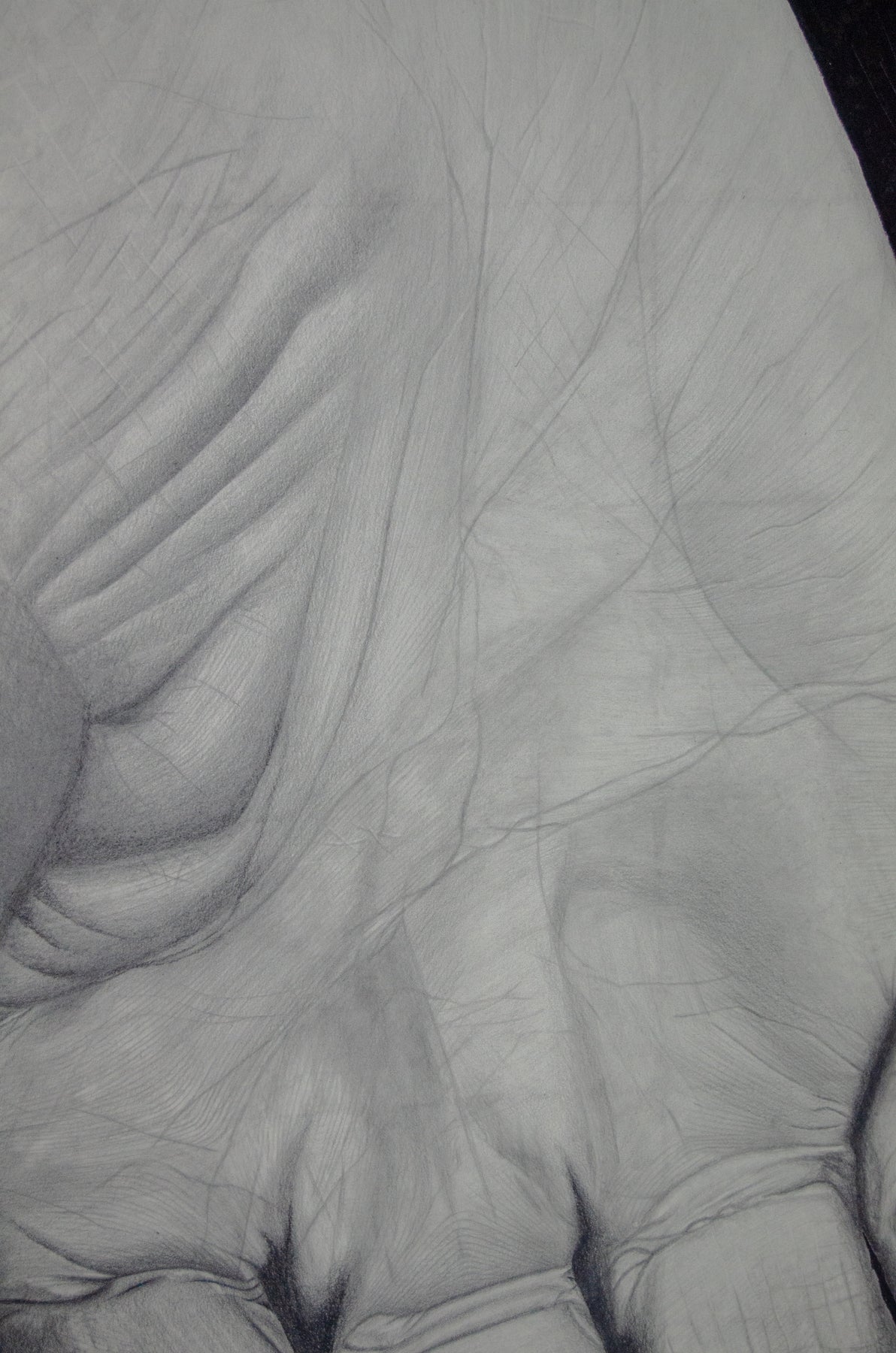Untitled (Hands) (PRINT EDITION)